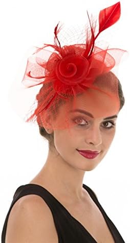 HaojingFascinator Hat Feather Mesh Net Veil Party Hat Ascot Hats Flower Derby Hat with Clip and Hairband for Women…