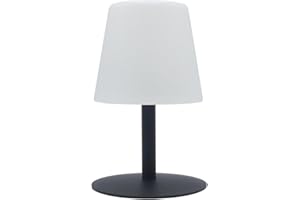 LUMISKY Lampe de table sans fil pied en acier gris LED blanc chaud/blanc dimmable STANDY MINI Rock H25cm