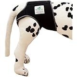 Läufigkeitshose für Hündinnen / Inkontinenzhose für Rüden / Hundeschutzhose (S)