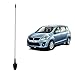 Autofy Premium Quality AM/FM Car Antenna for Maruti Suzuki Ertiga (Black) RS.179.00