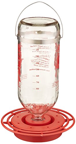 Best 1 32oz Hummingbird Feeder Buy Online In Qatar Garden
