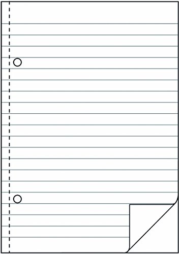 Avery Zweckform 904 Durchschreibbuch, DIN A5, vorgelocht, 2 x 50 Blatt, weiß - 2
