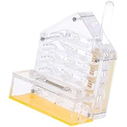 Homyl Boîte de Maison de Fourmilière Nid à Fourrage pour Fourmis 10x6x12cm