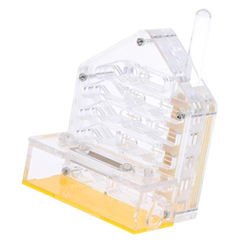 Homyl Boîte de Maison de Fourmilière Nid à Fourrage pour Fourmis 10x6x12cm
