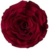 ETERNAL ROSES, XXL Rosenkopf, konserviert; Farbe Red Violet