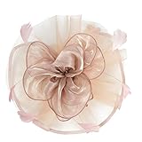 Damen Retro Hut Blume Mesh Bänder Federn auf einem Stirnband Haarspange, LEEDY Zwanziger Jahre Hair Clip Haarnadel Gericht Haarband Party Headwear Stirnbänder Great Kostüm Kopfbedeckung