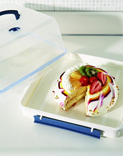 Lock & Lock Kuchenbox 12,6 l mit Ablaufgitter und Griff - 4