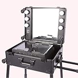 DXXCV Maquillage Train boîte, LED Lighted Roulant Voyage Organisateur cosmétique Portable avec Miroir et 4 Roues détachables, Artiste Professionnel Poste de Travail Permanent Gratuit, Noir