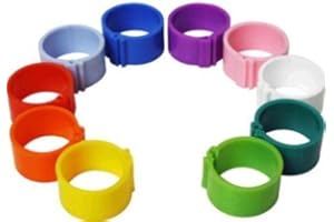 DRAGON POULTRY 100 Poultry Leg Rings, 12mm Clip