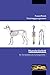 PowerPoint Trainingsprogramm - Hundeskelett für Tiermedizinische Fachangestellte, m. CD-ROM von Bell, Brigitte (2012) Broschiert by 