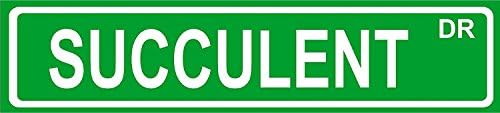 Succulent 4" X 18" Aluminum Metal Novelty Street Sign.