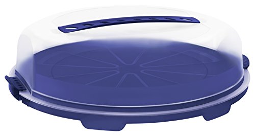 Rotho Tortenglocke "Fresh" flach - Kuchen-Transportbox aus Kunststoff (PP), mit sicherem Verschluss und bequemem Tragegriff, spülmaschinengeeignet - blau/transparent, ca. 35,5x34,5x11,6 cm (LxBxH)