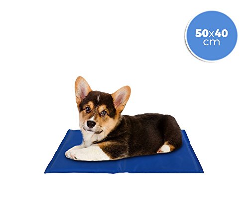 MEDIA WAVE store ® 37102 Tapis rafraîchissant 40x50 cm pour chien petit taille avec un gel actif