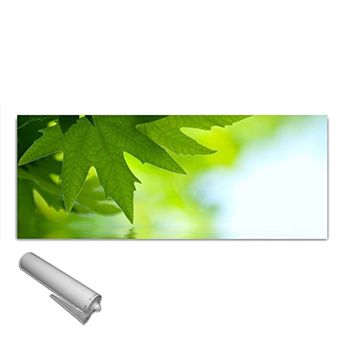 Küchenrückwand von DekoGlas aus gehärtetem vorgespanntem Glas 125x50cm Echtglas Float Sicherheitsglas ESG kein Acrylglas Spritzschutz Fliesenspiegel Nischenwand Blätter