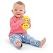 Galt Toys Ambi Twin Rattle