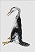 Produktbild 684064 Hesperonis Mammal Cretaceous A4 Photo Poster Print 10x8