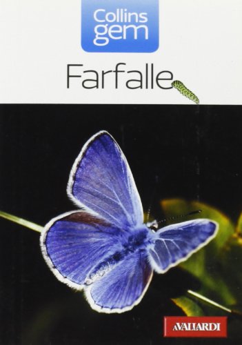 Farfalle Farfalle