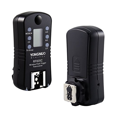 Yongnuo RF605C 2 4GHz FSK 16 canaux d  clencheurs sans fil double-LCD affichages   metteur r  cepteur   WINGONEER softbox Pour canon 60D  600D  550D  500D  1000D  450D  400D  350D  300D EOS 5DII 5D 7D 50D 40D 30D 20D 10D EOS1V EOS3 EOS1D 1DS 1DSMK   1DSMK    EOSD30 EOS10D 20D 30D 40D 50D 5D 5D    7D EOSD60 AS CANON RS-80N3