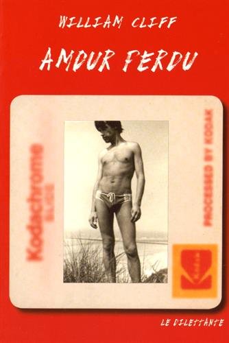 couverture de : Amour perdu