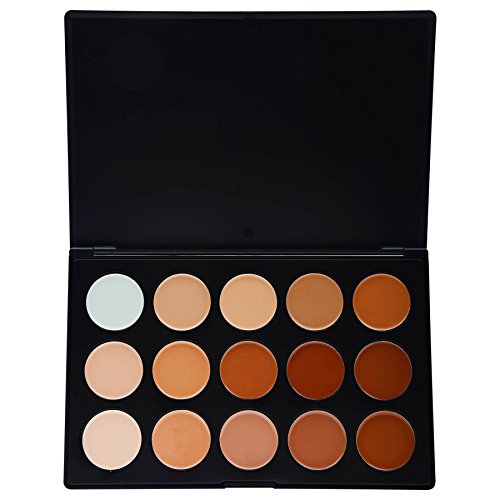 Preisvergleich Produktbild SHANY Cosmetics Professional Cream Foundation und Camouflage Concealer 15 Farbpalette