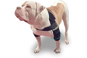 Ortocanis - Ortesis de Codo para Perros con Artritis de Codo, Higromas o Dislocación de Hombro, Talla L