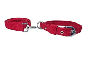 MUNCHOS and Stylish Nylon Dog Collar and Leash Set 1 Inch ? Color May Vary