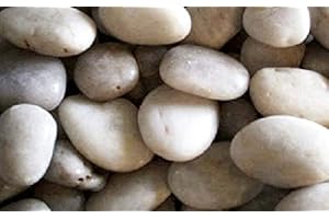 SOOTHING IDEAS 1Kg WHITE Polished River Stones Garden Pond