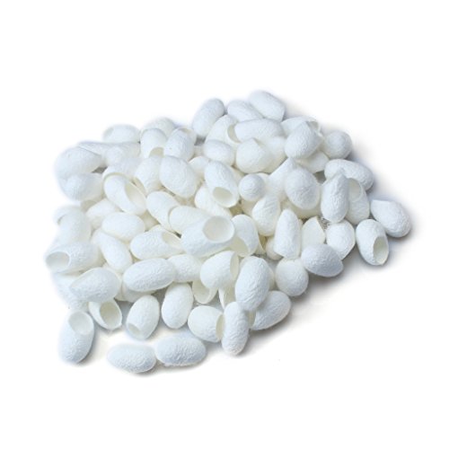Edealing 100PCS New Organic Natural Whitening Seidenkokons Seidenraupe Balls Gesichtshaut - 2
