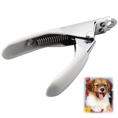 Accessotech Gris Animal de compagnie Coupe Ongles Tailleur pour chiens chats Oiseaux Cochon D'inde Griffes D'animaux Ciseaux Coupe