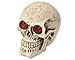 Produktbild Ruisy Halloween Totenkopf Schädel mit Leuchtenden Augen LED-Schädellicht für Halloween-Stehtischdekoration