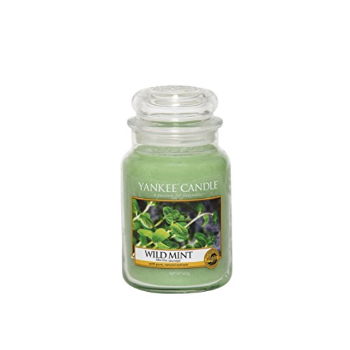 Yankee Candle (YANK6) 1542818E Classic Duftkerze, Glas, Grün, 17.5 x 9.8 x 9.8 cm