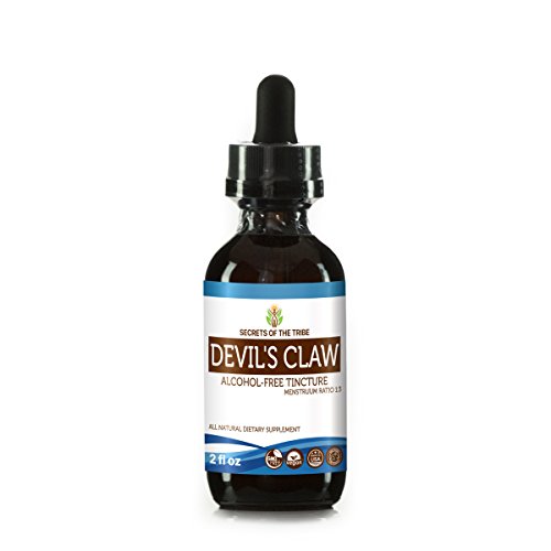 Devils Claw Tincture Alcohol Free Liquid Extract Organic Devils Claw |  Desertcart BAHRAIN