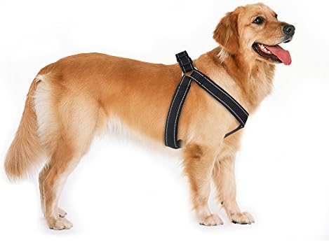 Reflective Nylon Classic Adjustable Dog Harness With All-Round Soft Padded Comfort And Safety For Large/Medium Dogs