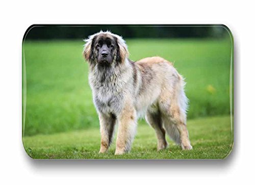 Leonberger – 4 rechteckige Kühlschrankmagnete 6 x 4 cm — 01 für Memoboard Pinnwand Magnettafel Whiteboard - 3