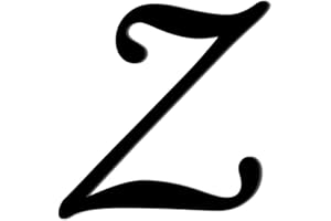 Bütic GmbH Plexiglas® Lettres noires – MT – Verre acrylique de 3 mm – Hauteur : 10 cm – Lettres : grand Z