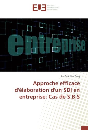 Approche efficace d'élaboration d'un SDI en entreprise: Cas de S.B.S gratuit