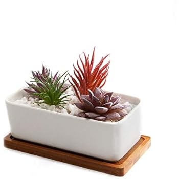 Vasetto In Ceramica Per Piante Grasse A Forma Di Gatto - Con Vassoio In Bambù (8,9x8,9x7 Cm) - Pianta Non Inclusa - 2