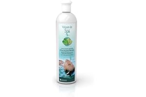 Camylle - Profumo per vasche idromassaggio Eucalipto/menta - A base di oli essenziali per spa o vasche idromassaggio - Rinfrescante con aromi freschi e stimolanti - 250ml