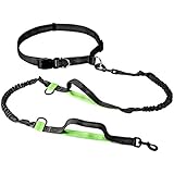 Hundeleine Führleine Freihand Design,2 elastischen reflektierenden Bungeeleine,mit 2-in-1 Funktion für große & mittlere &kleine Hunde