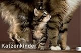 Katzenkinder Posterkalender 2011 by