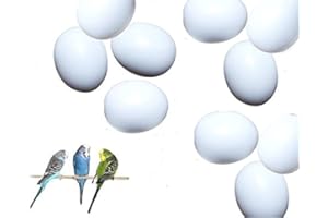 BTV Nesteier für Wellensittiche Wellensitticheier 10 Stück