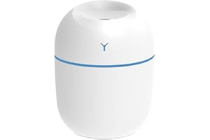 AILELAN Portable Mini Humidifier, 220ml Cool Mist Humidifier with Night Light Small Humidifier Ultra Quiet Mist Sprayer with 2 Mist Modes and Auto Shut-Off, Personal Air Humidifier for Bedroom Car Office