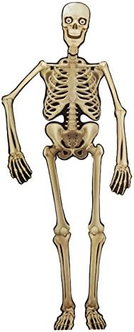 Halloween Party Decoration 150cm / 5ft Hanging Jointed Skeleton