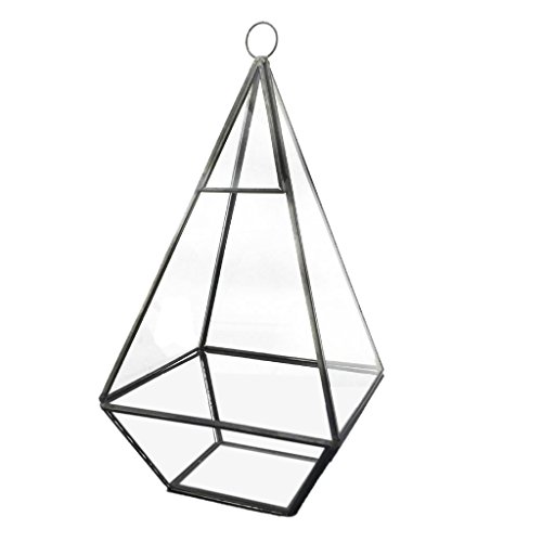 Generic Modern Design Glas Terrarium Geometrisches Sukkulente Pflanzen Deko – Rautenförmig – 12 * 12 * 24,5 cm - 7