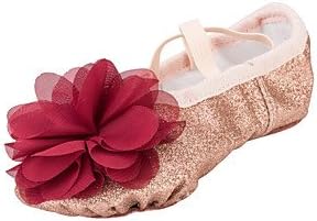 Dance Shoes FJY&amp;WX Children's Ballet Sparkling Glitter Flat Indoor Petal Flat Heel Gold, us3.5/eu35/uk2.5 big kids