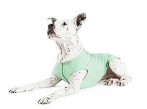 Gold Paw Sun Shield Dog Tee - Pistachio Heather - Size 12