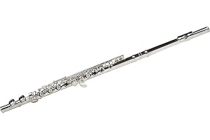 Karl Glaser Ringklappen Querflöte in Silber, Neu