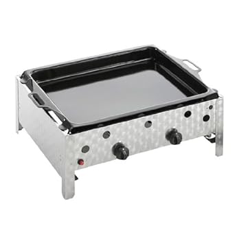 Landmann Gasbrter 2 Flammig Mit Pfanne Silber 695 X 585 X 27 Cm