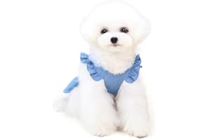 Barrageon Hunde Kleid Süß Prinzessin Rock Kleidung Welpe Katze Für Kleine Haustier Mittelgroße Sommerkleidung Bowknot Hundekatze (Hellblau-L)