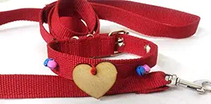 Apurva Creations Nylon Puppy Dog Collar Belt and Leash (Extra Small) (Color May Vary as per Stock)